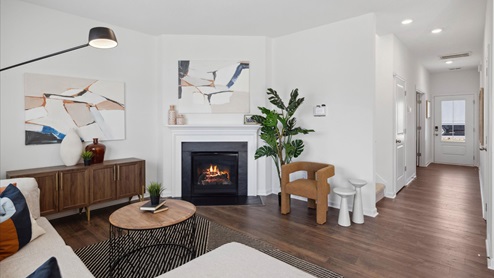 Entry way of home into living room