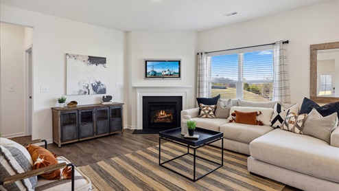 Living room with fireplace
