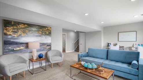 Finished lower level family room.