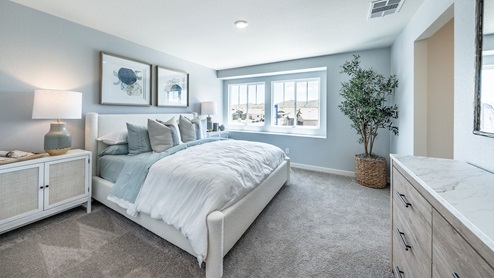 Carpeted primary bedroom with cozy design