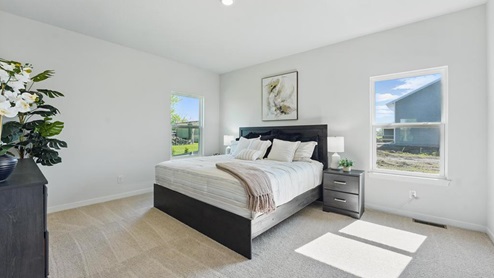 Carpeted primary bedroom with large windows