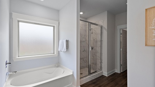 Interior bathroom with bath tub and shower