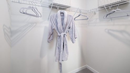 Carpeted closet with hanging racks
