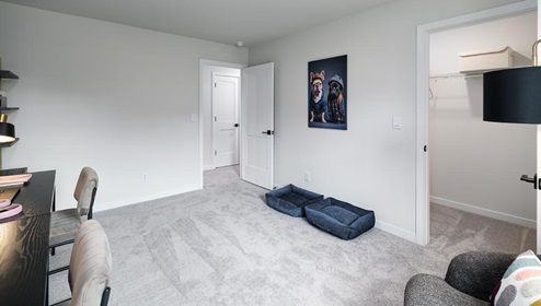 Carpeted bedroom with medium window