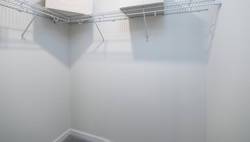 Carpeted closet with hanging racks