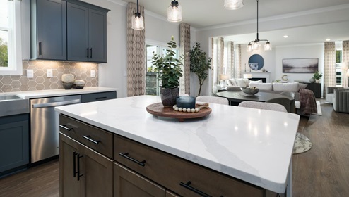 Kitchen and island with wood floors, grey cabinets, quartz counters, and stainless steel appliances