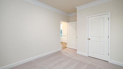 Carpeted bedroom with large window
