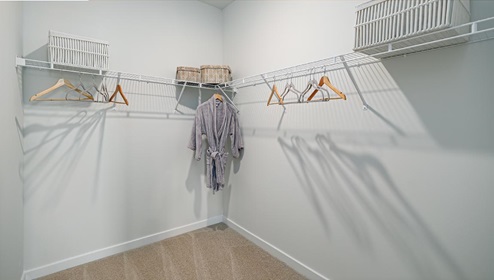 Carpeted bedroom walk in closet