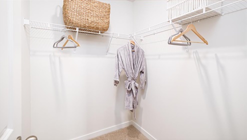 Carpeted bedroom walk in closet