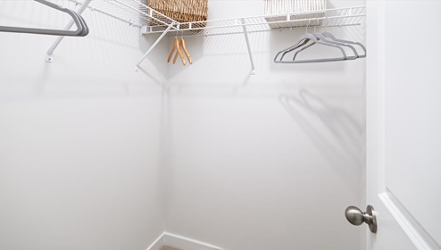 Carpeted bedroom walk in closet