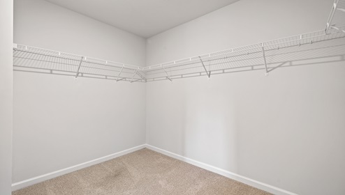 Primary closet with carpet.