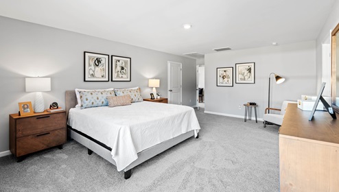 Primary bedroom with carpet and windows.