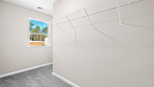 Walk in closet with carpet.