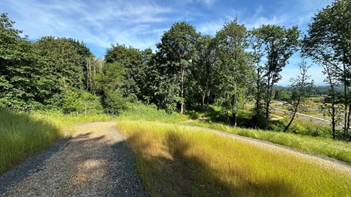 Avery Terrace Walking Trail for Community
