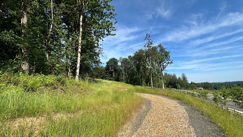 Avery Terrace Walking Trail for Community