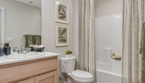 Blue Pearl Bathroom