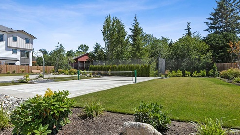 Pickleball court with Basketball court in background at Ivy Terrace