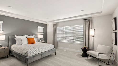Primary bedroom suite with expansive window