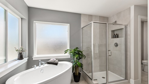 large step in shower in the primary bathroom