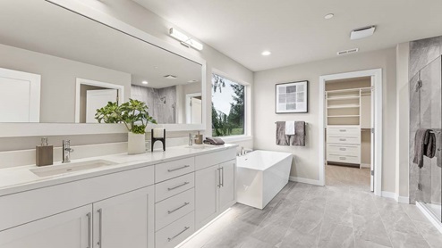 primary suite bathroom