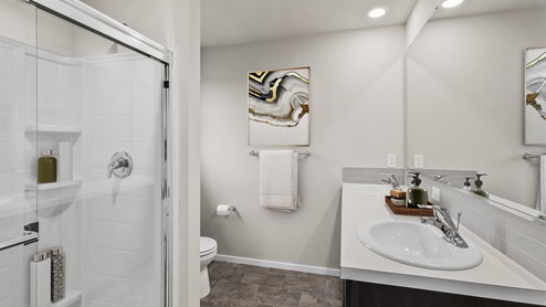primary suiet bathroom