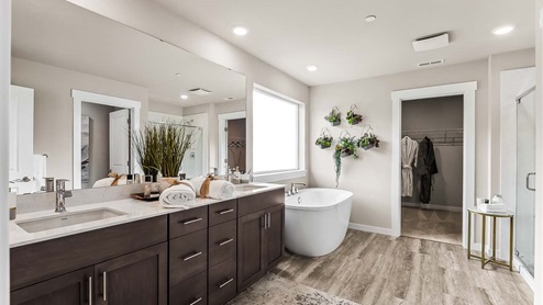 primary suite bathroom