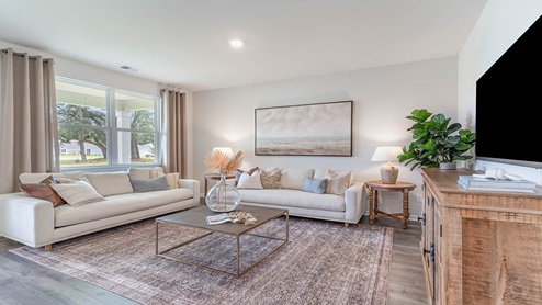 living room with double window
