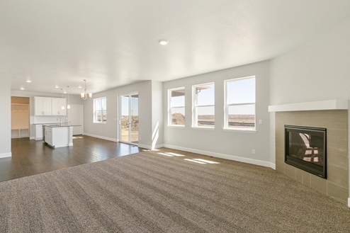 open space living room and kitchen with four windows, a back door, fireplace, and carpet floor