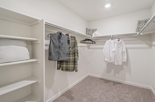 walk in closet with shelves and carpet floor