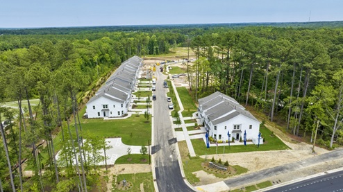 birds eye view of community