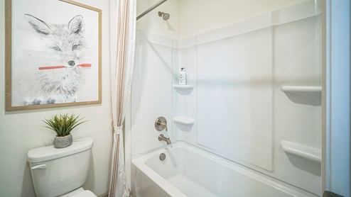 Secondary bathroom with a tub-shower insert and large artwork of a fox holding a toothbrush.
