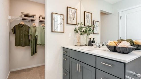 Primary bathroom with quartz counters and a walk-in shower