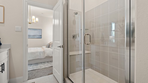 Bathroom with shower open to bedroom