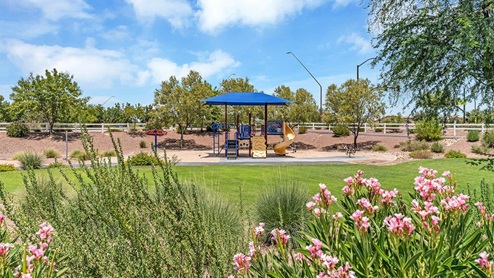 Discover new homes within the only gated community in Gladden Farms. Coronet at Gladden Farms, a premier D.R. Horton community where modern living meets the scenic charm of Marana, Arizona. Located within the expansive Gladden Farms master-planned neighborhood, Coronet offers residents the perfect blend of small-town warmth and modern amenities. Surrounded by 830 acres of green space, 28 parks, and 19 playgrounds, this gated community is designed for families who value both comfort and outdoor adventure. Residents of Coronet at Gladden Farms enjoy exclusive amenities such as a sparkling community pool, jacuzzi, fitness center, and a clubhouse complete with a BBQ area and patio. The gated community also offers walking trails, a dog park, and playgrounds, making it the ideal environment for families and active lifestyles. Each home is thoughtfully designed with high-end finishes, including quartz countertops, wood-look luxury vinyl plank flooring, tile roofs, Spanish Lace stucco exteriors and beautifully landscaped front yards with auto drip irrigation. Additionally, all homes feature covered front porches and back patios, perfect for enjoying the stunning Arizona sunsets and monsoons. Coronet at Gladden Farms is built with a commitment to energy efficiency and sustainability. Each home meets the DOE Zero Energy Ready Home standards, meaning they are constructed to be so energy-efficient that a renewable energy system could offset most or all of the home's annual energy use. These homes include advanced features such as tankless water heaters, energy-efficient LED lighting, and high-performance insulation, ensuring lower utility costs and a reduced environmental footprint. The Home is Connected Smart Home package, which includes a smart thermostat, video doorbell, keyless entry, a Wi-Fi-enabled garage door opener, and much more, provides modern convenience and enhanced security. Living in Coronet at Gladden Farms means being part of a thriving community with easy access to shopping, dining, and recreation. The greater Gladden Farms area is equipped with amenities like a splashpad, soccer fields, and the Paws & Claws Dog Park. With the new Fry’s Marketplace, along with Starbucks and Ace Hardware, all your daily needs are just moments away. Families will appreciate being part of the Marana Unified School District, with Gladden Farms Elementary nearby and a new K-8 school opening in 2025. Beyond the community, residents can explore the natural beauty of the area with proximity to Picacho Peak State Park, Tortolita Mountain Park, and Saguaro National Park, offering endless opportunities for hiking, cycling, and wildlife viewing. Major employers such as Davis-Monthan Air Force Base, Raytheon, and Ventana Medical Systems are just a short drive away, making Coronet at Gladden Farms an ideal location for those commuting to Tucson, Casa Grande, or Phoenix. Experience the perfect blend of comfort, convenience, and community at Coronet at Gladden Farms—where new homes, energy efficiency, and a vibrant lifestyle await.