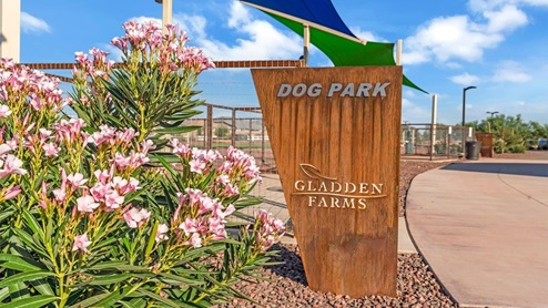 Discover new homes within the only gated community in Gladden Farms. Coronet at Gladden Farms, a premier D.R. Horton community where modern living meets the scenic charm of Marana, Arizona. Located within the expansive Gladden Farms master-planned neighborhood, Coronet offers residents the perfect blend of small-town warmth and modern amenities. Surrounded by 830 acres of green space, 28 parks, and 19 playgrounds, this gated community is designed for families who value both comfort and outdoor adventure. Residents of Coronet at Gladden Farms enjoy exclusive amenities such as a sparkling community pool, jacuzzi, fitness center, and a clubhouse complete with a BBQ area and patio. The gated community also offers walking trails, a dog park, and playgrounds, making it the ideal environment for families and active lifestyles. Each home is thoughtfully designed with high-end finishes, including quartz countertops, wood-look luxury vinyl plank flooring, tile roofs, Spanish Lace stucco exteriors and beautifully landscaped front yards with auto drip irrigation. Additionally, all homes feature covered front porches and back patios, perfect for enjoying the stunning Arizona sunsets and monsoons. Coronet at Gladden Farms is built with a commitment to energy efficiency and sustainability. Each home meets the DOE Zero Energy Ready Home standards, meaning they are constructed to be so energy-efficient that a renewable energy system could offset most or all of the home's annual energy use. These homes include advanced features such as tankless water heaters, energy-efficient LED lighting, and high-performance insulation, ensuring lower utility costs and a reduced environmental footprint. The Home is Connected Smart Home package, which includes a smart thermostat, video doorbell, keyless entry, a Wi-Fi-enabled garage door opener, and much more, provides modern convenience and enhanced security. Living in Coronet at Gladden Farms means being part of a thriving community with easy access to shopping, dining, and recreation. The greater Gladden Farms area is equipped with amenities like a splashpad, soccer fields, and the Paws & Claws Dog Park. With the new Fry’s Marketplace, along with Starbucks and Ace Hardware, all your daily needs are just moments away. Families will appreciate being part of the Marana Unified School District, with Gladden Farms Elementary nearby and a new K-8 school opening in 2025. Beyond the community, residents can explore the natural beauty of the area with proximity to Picacho Peak State Park, Tortolita Mountain Park, and Saguaro National Park, offering endless opportunities for hiking, cycling, and wildlife viewing. Major employers such as Davis-Monthan Air Force Base, Raytheon, and Ventana Medical Systems are just a short drive away, making Coronet at Gladden Farms an ideal location for those commuting to Tucson, Casa Grande, or Phoenix. Experience the perfect blend of comfort, convenience, and community at Coronet at Gladden Farms—where new homes, energy efficiency, and a vibrant lifestyle await.