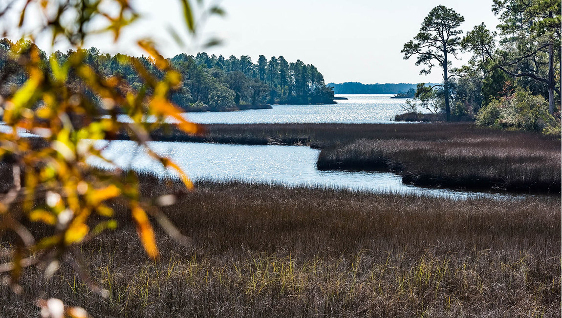 New Homes in Fanning Baou Panama City FL D.R. Horton