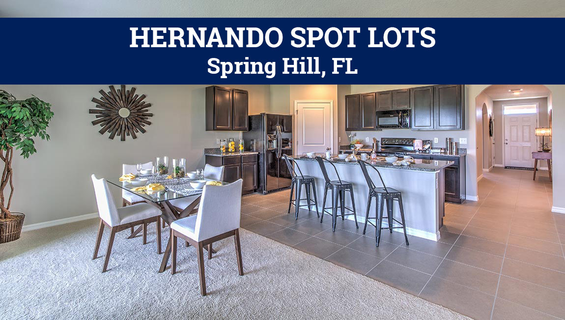 Hernando Spot Lots