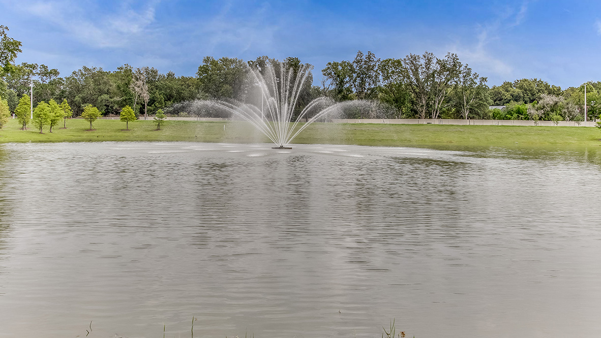 New Homes In The District Valrico Fl D R Horton