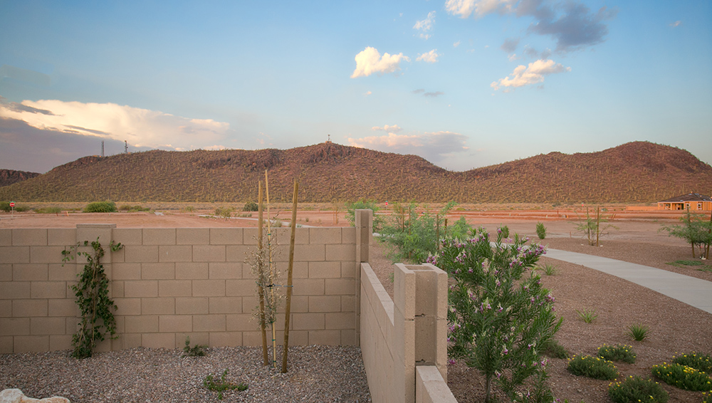 New Homes in Saguaro Bloom Marana, Arizona D.R. Horton
