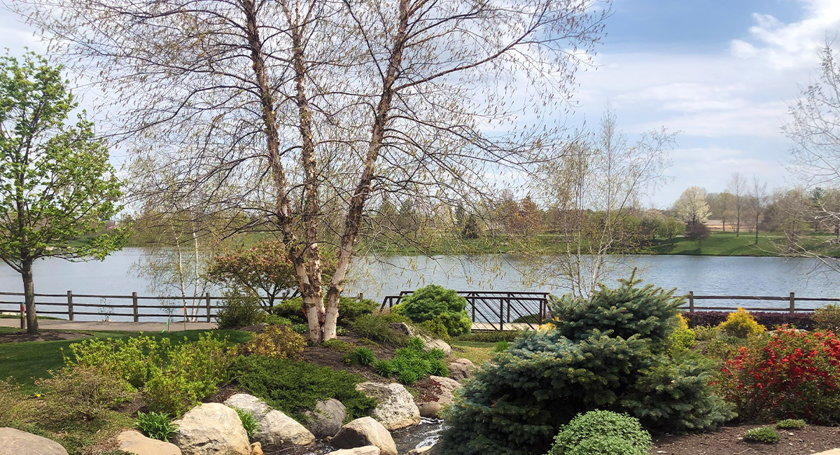 New Homes in Stonewater WONDER LAKE, IL D.R. Horton