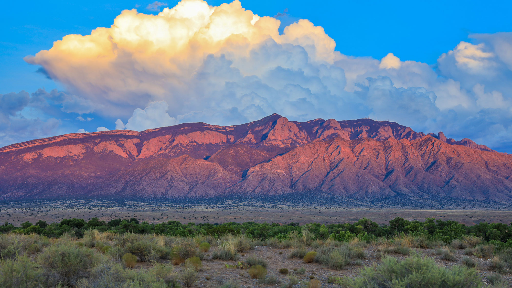 Albuquerque Mountain