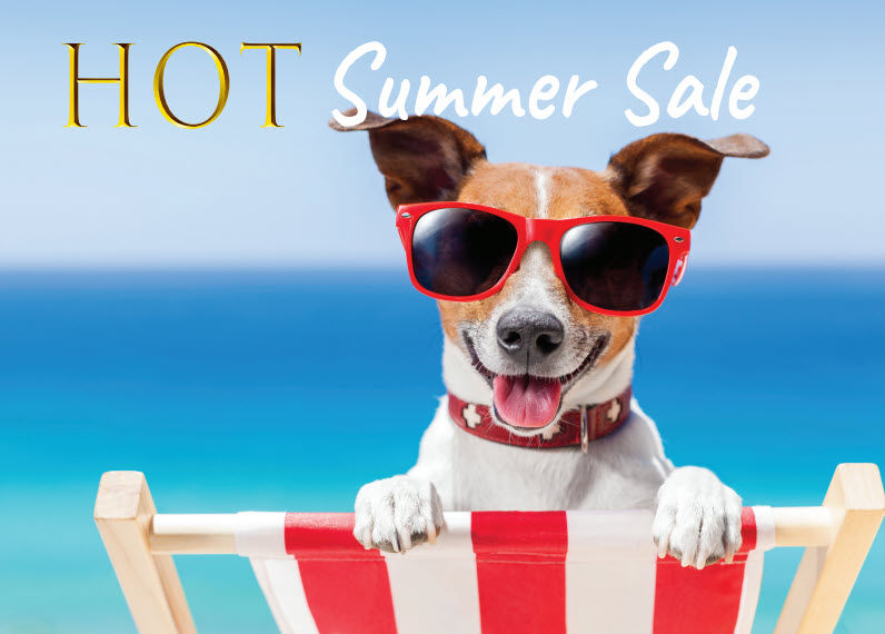 Hot summer sale. Dog in sunglasses on the back of a beach chair with a body of water in the background.
