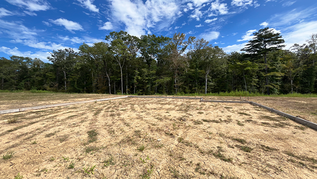 New two story homes in Moncks Corner, New homes in Moncks Corner, Customizable home in Moncks Corner