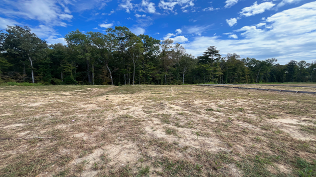 New homes in Carolina Groves, Customize your new homes, Homes for sale in Moncks Corner