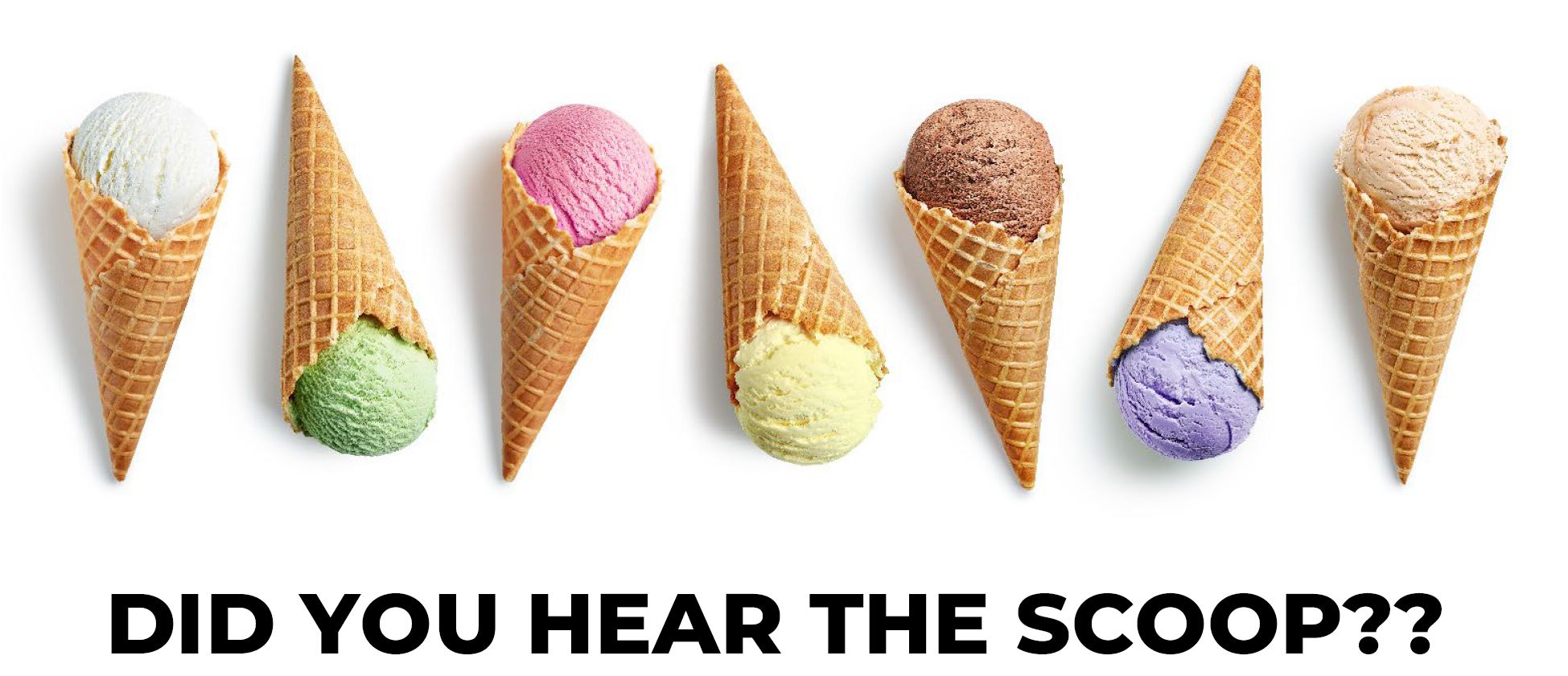 DID YOU HEAR THE SCOOP?