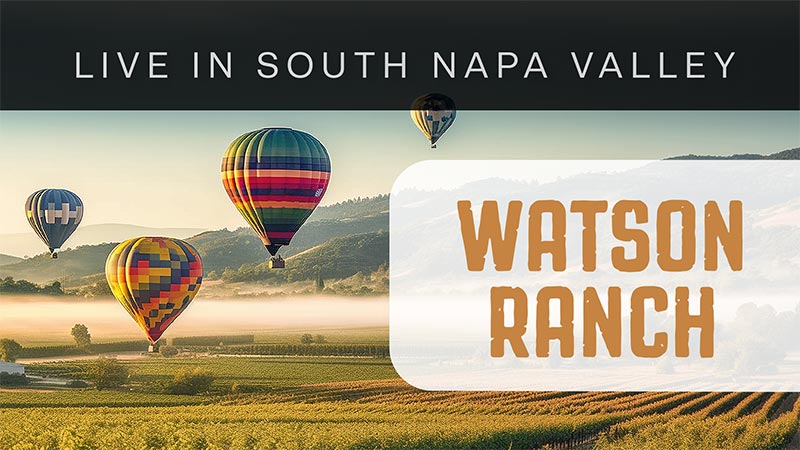 Welcome to South Napa Valley