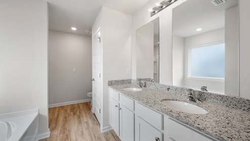 Primary bathroom with double vanity granite countertops and tub and closet.