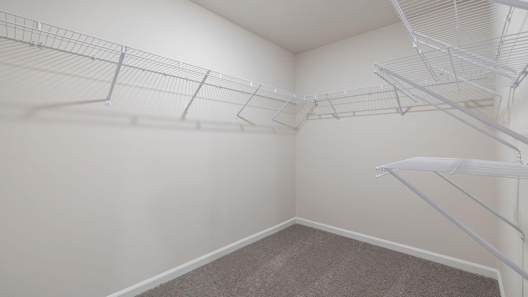 Closet with carpet and hanging storage racks.