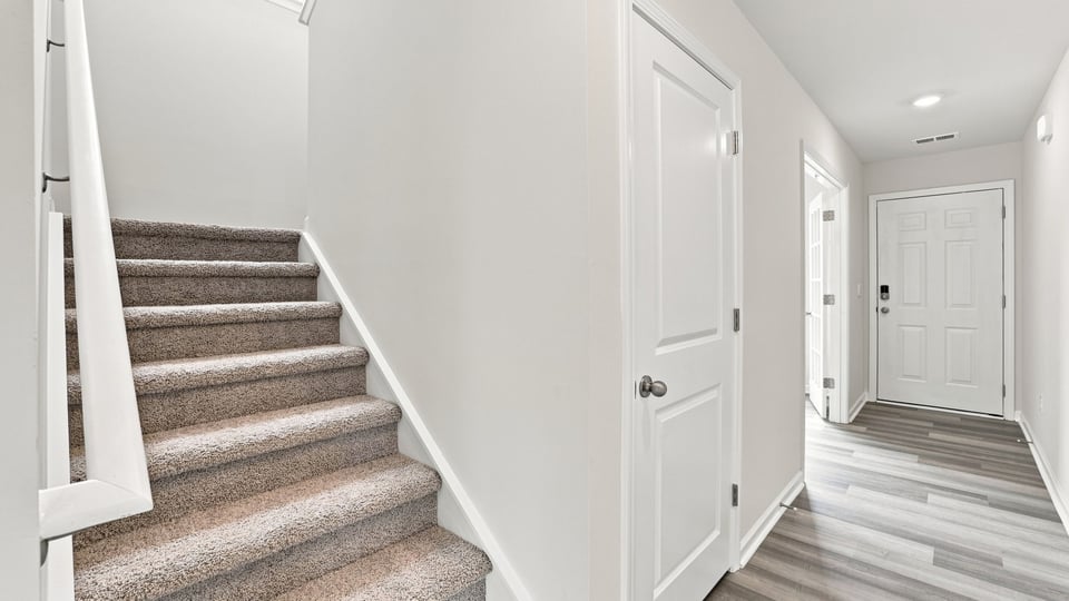 Stairs with carpet.
