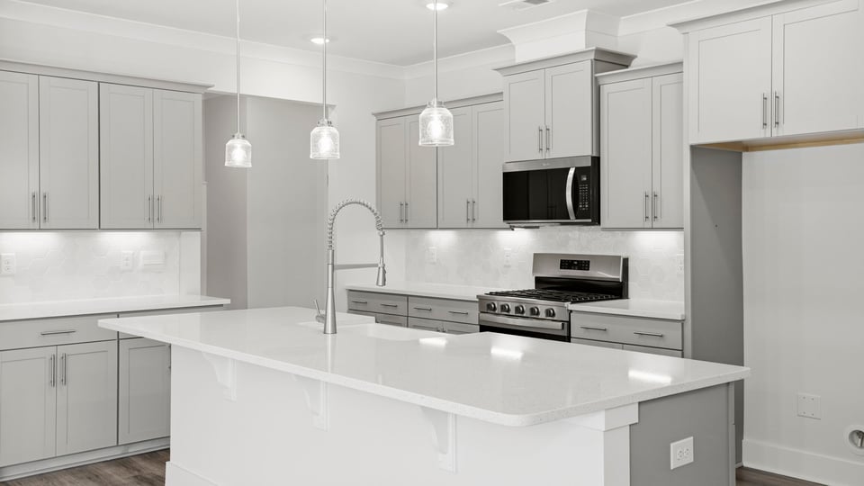 Kitchen and quartz countertops and stainless steel appliances.